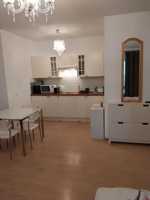 Tres Grand Studio Proche De Tout Διαμέρισμα Γενεύη
