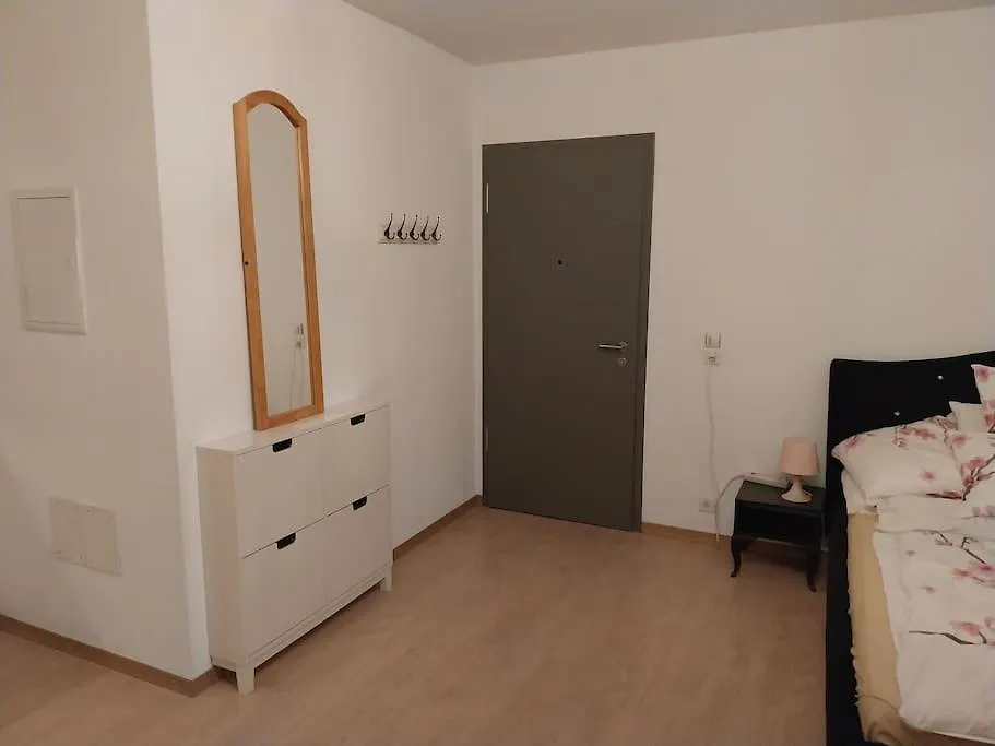 Tres Grand Studio Proche De Tout Διαμέρισμα Γενεύη