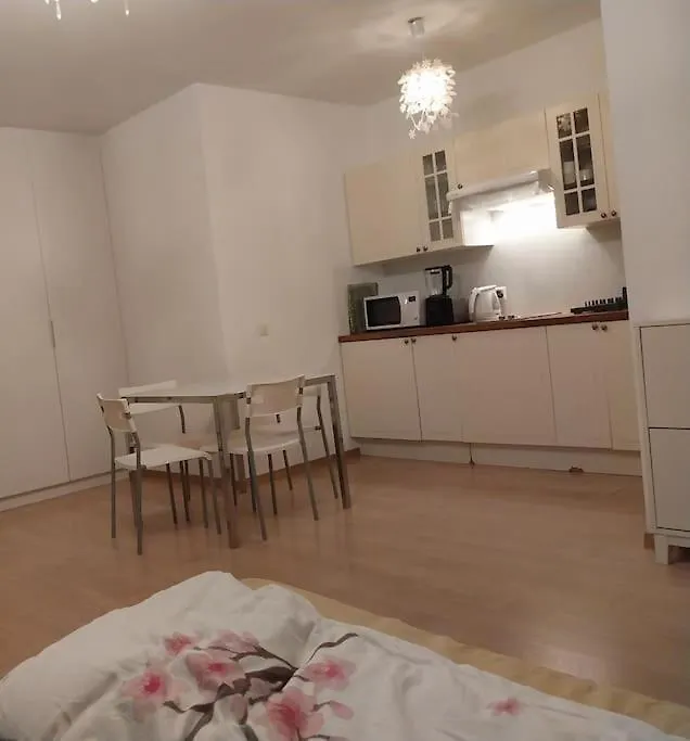 Tres Grand Studio Proche De Tout Διαμέρισμα Γενεύη